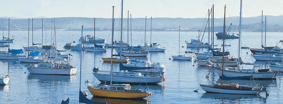Sail boats with their sails down in Monterey Bay